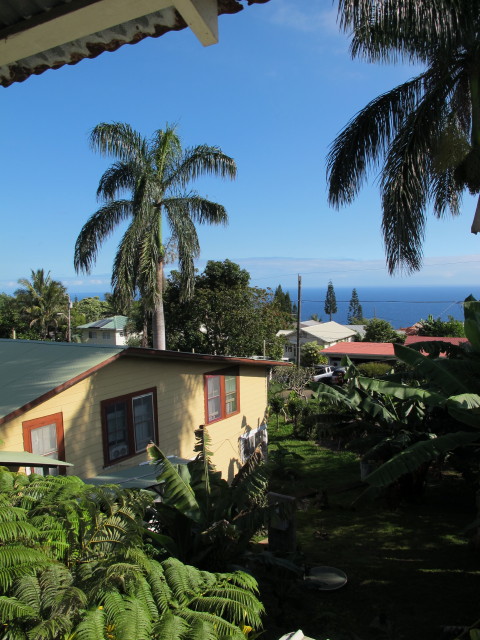 vom Hotel Honokaa Club Richtung Nordosten (17. Mai)