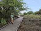 Papa am Ala Hele Ike Hawai'i Trail im Kaloko-Honokohau National Historical Park (13. Mai)