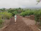 Papa auf der Coffee Country Tour der Kona Pacific Farmers Coop (13. Mai)