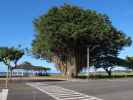 Mo'oheau Beach Park (15. Mai)