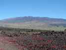 Mauna Kea von der Saddle Road aus (16. Mai)