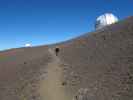 Papa zwischen Mauna Kea Observatories und Mauna Kea (16. Mai)