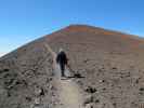 Papa zwischen Mauna Kea Observatories und Mauna Kea (16. Mai)