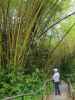 Papa im Akaka Falls State Park (16. Mai)