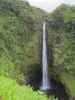 Akaka Falls (16. Mai)