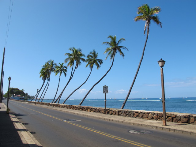 Lahaina, 1 m (19. Mai)