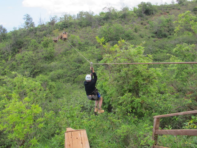 Papa auf Line # 1 des Ka'anapali Zipline Adventure (19. Mai)