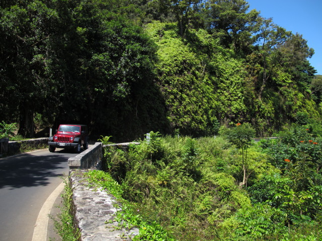 'Road to Hana' (20. Mai)