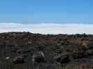 beim Haleakala Visitor Center, 2.969 m (18. Mai)