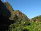 Iao Valley State Park (20. Mai)