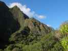 Iao Valley State Park (20. Mai)