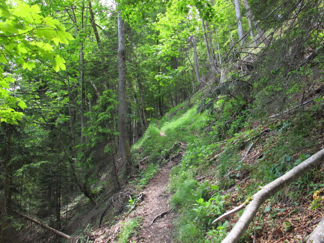 zwischen Reintalersee-Klettersteig und Heum&ouml;seralm