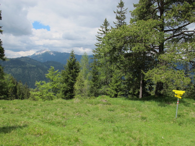 zwischen Heumöseralm und Voldöppberg