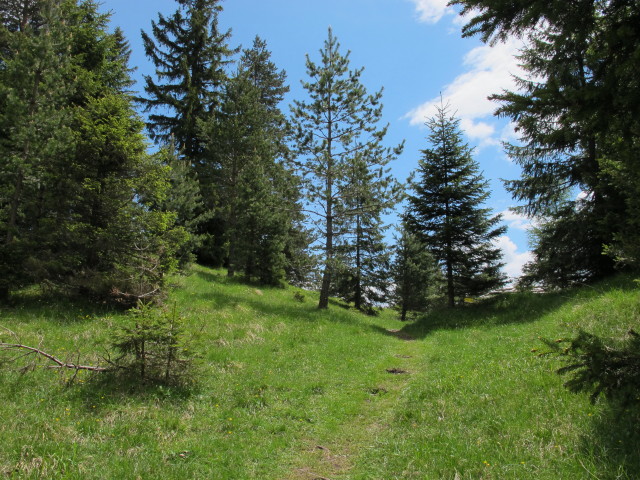 zwischen Heum&ouml;seralm und Vold&ouml;ppberg