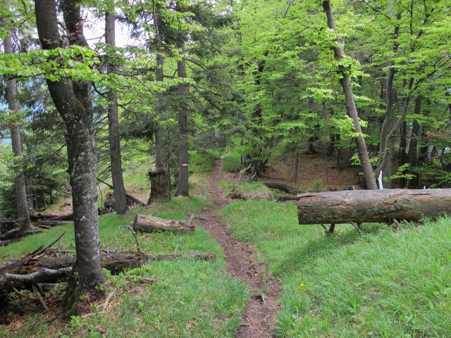 zwischen Vold&ouml;ppberg und Mariatal