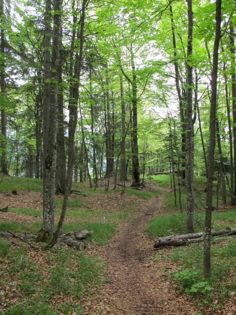 zwischen Vold&ouml;ppberg und Mariatal