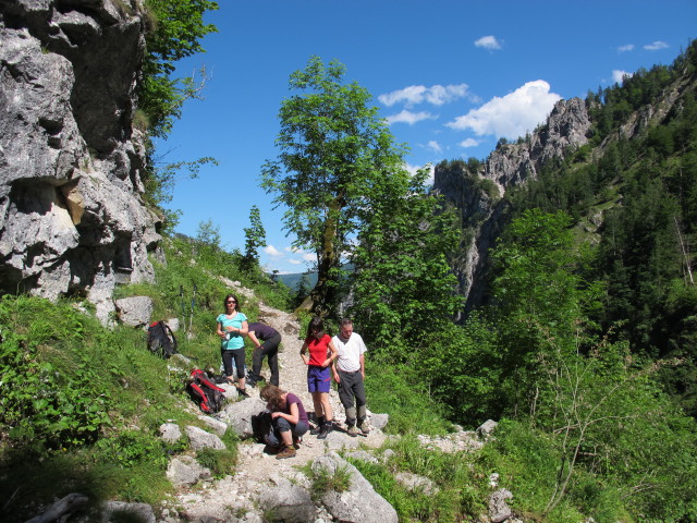 Doris, Petra, Hannelore, Katarina und Erich auf Weg 201 beim Klinserfall (6. Juni)
