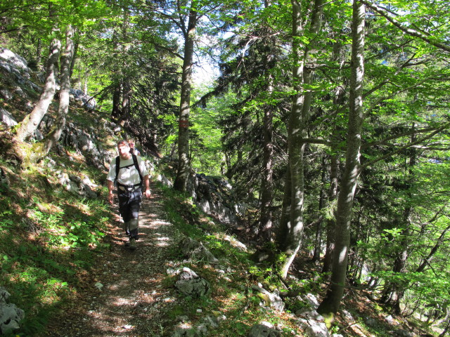 Erich und Hannelore auf Weg 201 zwischen Buchschachen und Prielschutzhaus (6. Juni)