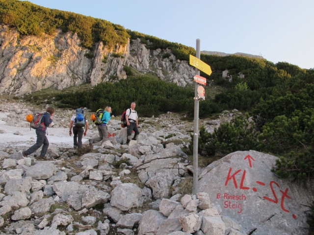 Hannelore, Christian, Sabrina und Erich zwischen Weg 201 und K&uuml;hplan (7. Juni)
