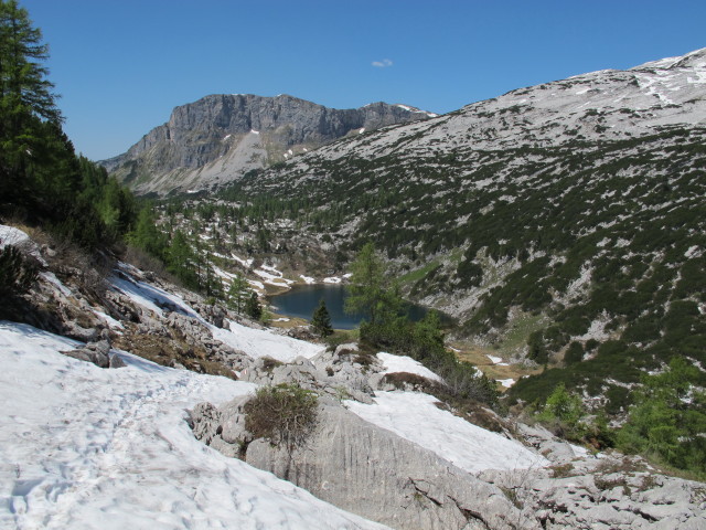 zwischen Elmwiese und P&uuml;hringerh&uuml;tte (9. Juni)