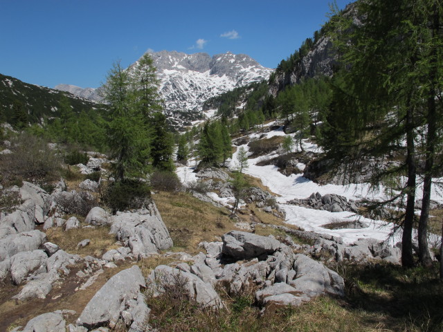 Weg 201 zwischen Emils Tr&auml;nenh&uuml;gel und Elmagrube (9. Juni)