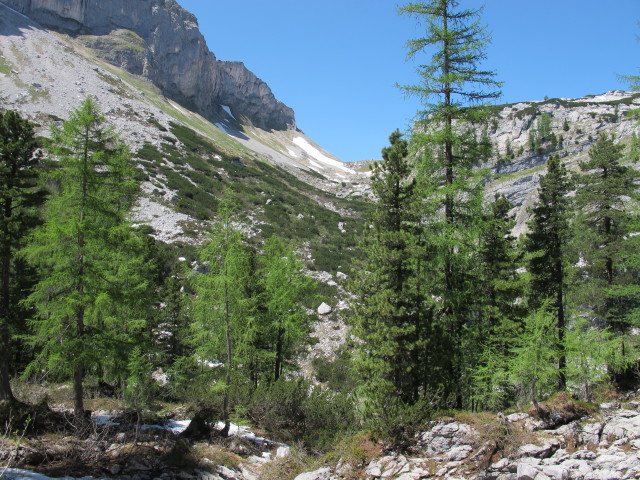 von Weg 201 Richtung Nordwesten (9. Juni)