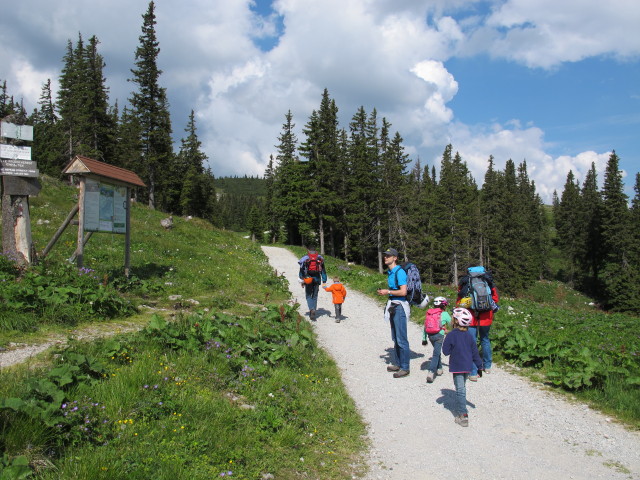 Stefan, Tim, Florian, Anja-Liv, Katja-Lin und Kerstin zwischen Gsolhirn und T&ouml;rlweg