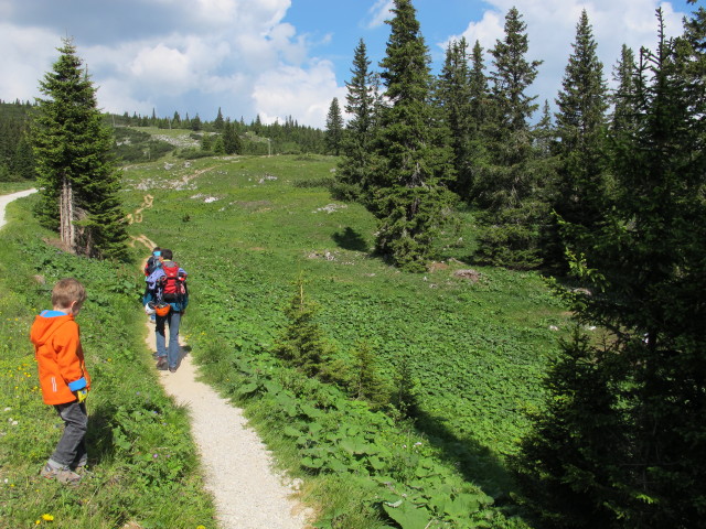 Tim, Kerstin und Stefan zwischen Gsolhirn und T&ouml;rlweg