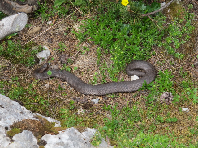zwischen H&ouml;llentalaussicht und Praterstern