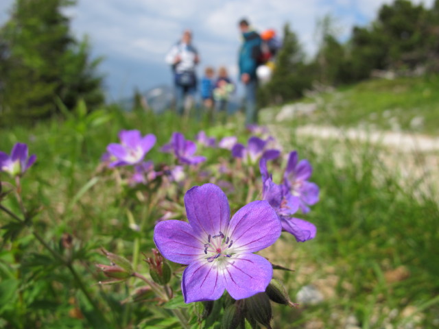 Florian, Tim, Katja-Lin und Stefan zwischen Praterstern und Gsolhirn