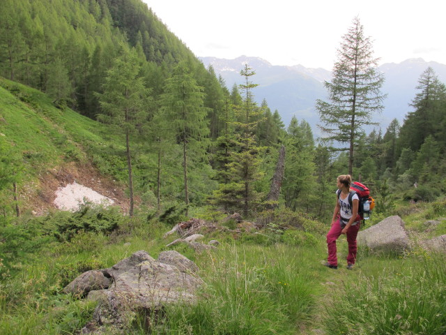 Miriam zwischen Leibnitzbachbr&uuml;cke und Leibnitzalm (4. Juli)