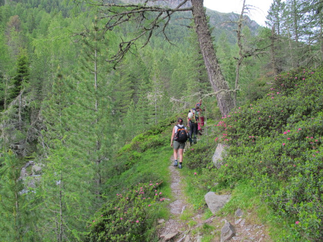 Helga, Christoph und Miriam zwischen Leibnitzbachbr&uuml;cke und Leibnitzalm (4. Juli)
