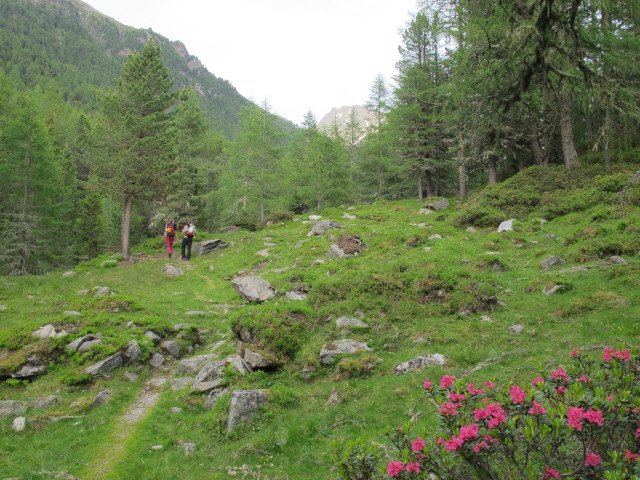 Miriam und Christoph zwischen Leibnitzbachbr&uuml;cke und Leibnitzalm (4. Juli)