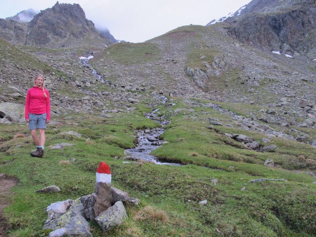 Evelyn zwischen Leibnitzbach und Staniskascharte (5. Juli)