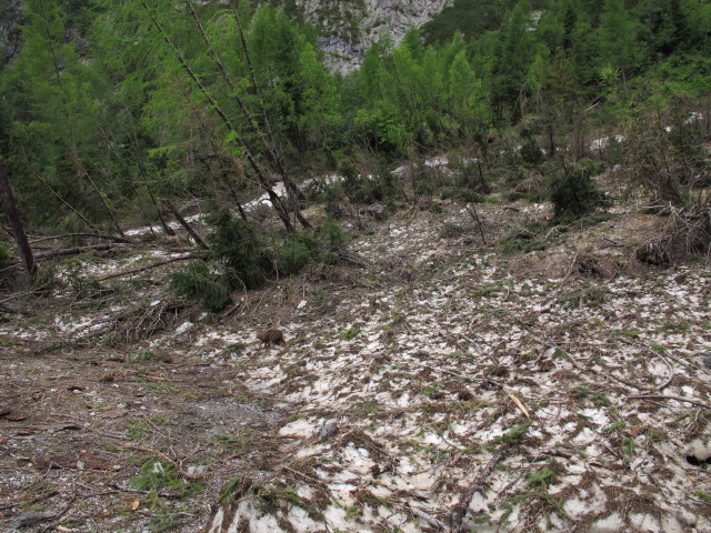 zwischen Winkler Tal und Obstanser Boden