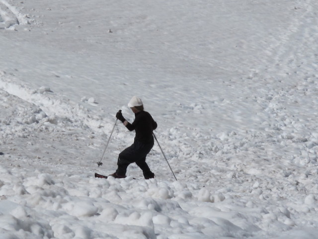Gro&szlig;er Gosaugletscher (19. Juli)