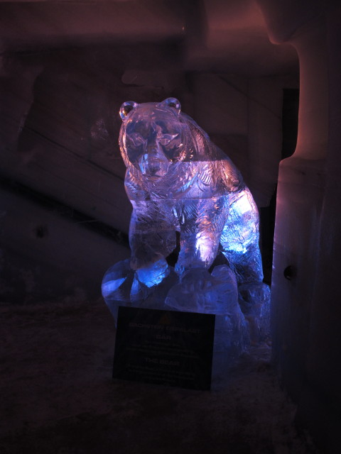 Eispalast: B&auml;r (20. Juli)