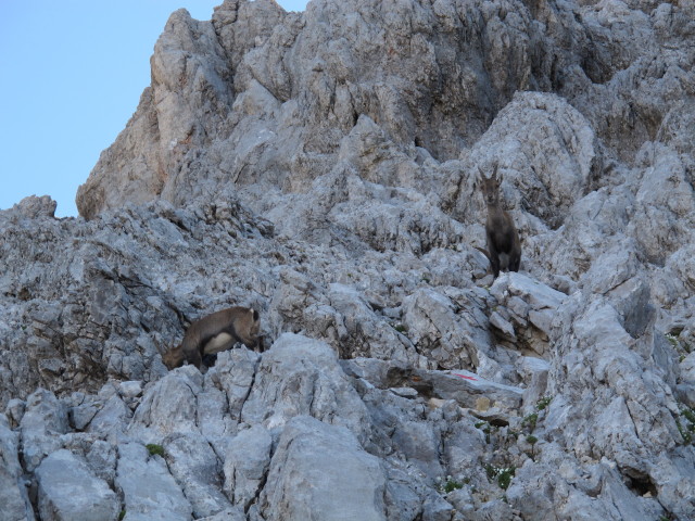 Weg 441 zwischen Wimbachgrieshütte und Schönfeldspitze (2. Aug.)