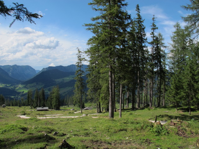 Stubenalm (2. Aug.)