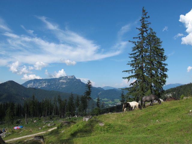 Stubenalm (2. Aug.)