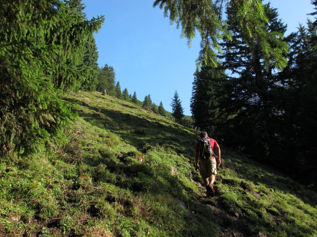 Axel auf Weg 427 zwischen Lechneralm und Braggstein