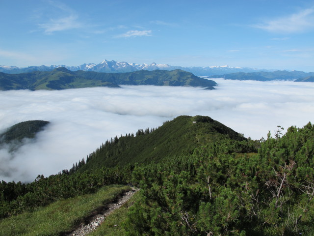 Weg 427 zwischen Braggstein und Rötenegg