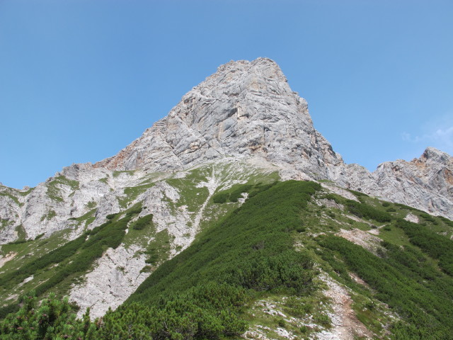 Selbhorn vom Weg 427 aus