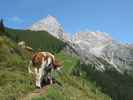 Weg 427 zwischen Braggstein und Lechneralm