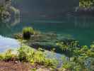 Lago di Fusine inferiore, 924 m (16. Aug.)