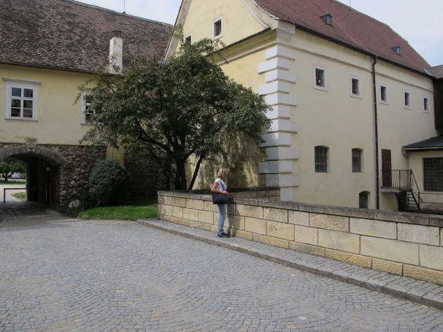 Mama in der Hoffmannmühle