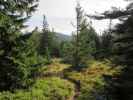 zwischen Herrenkogel und Bei den drei Pfarren (30. Aug.)