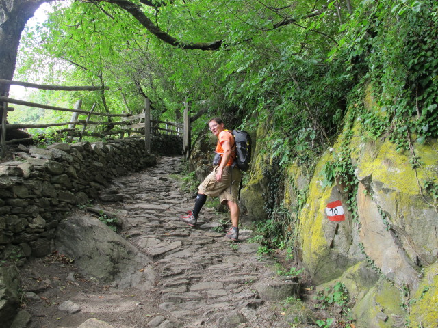 Axel auf Weg 10 zwischen Hoachwool-Klettersteig und Höfl