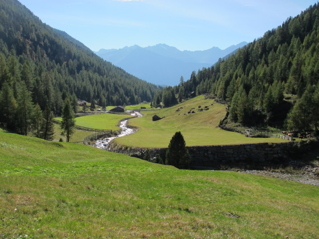 B&auml;reneben (29. Sep.)