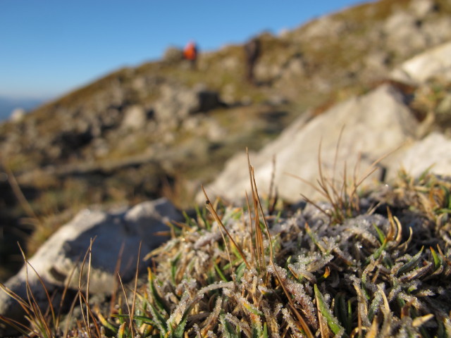 Erich und David auf Weg 618 zwischen Guttenberghaus und Jubiläums-Klettersteig (4. Okt.)